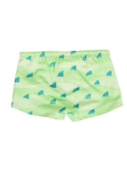 Miniatura SUNGA TUBARAO VERDE  3